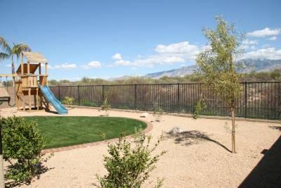 12834 N Yellow Orchid Drive