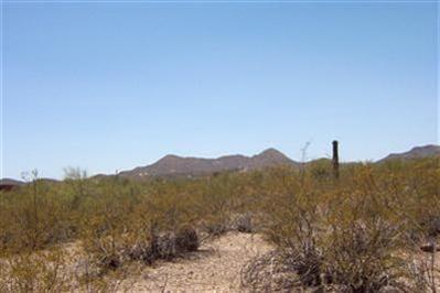 3120 N Crooked Trail