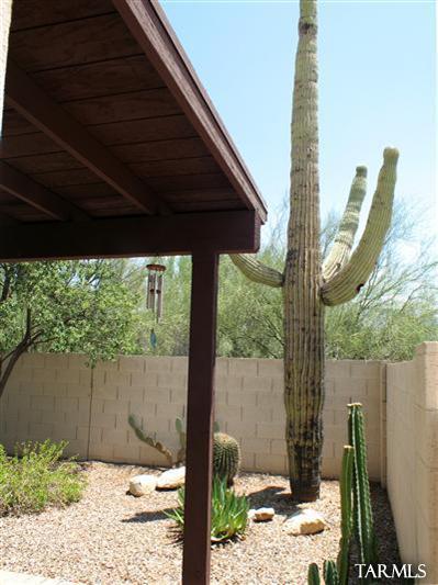 6218 N Silk Tree Place