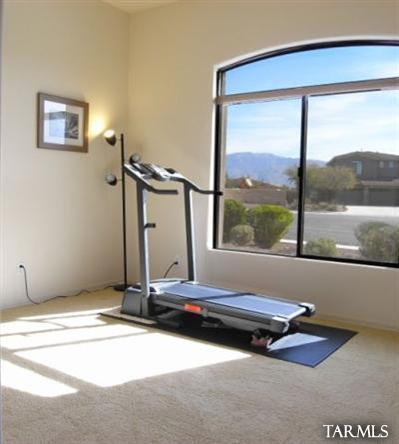 11917 N Copper Sky Place