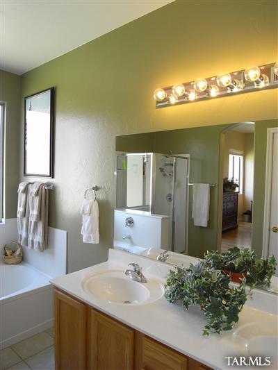 11852 N Potosi Point Drive