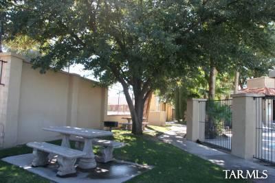 7974 N Jacqueline Place