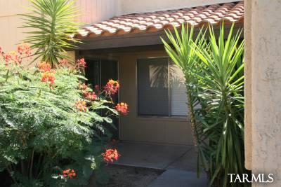 7974 N Jacqueline Place