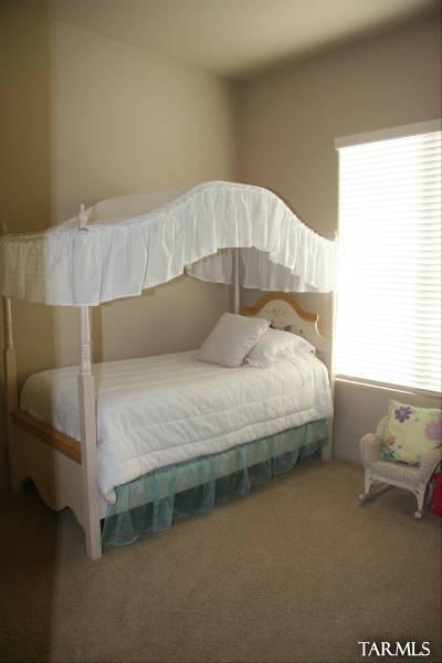 5282 W Rain Shadow Way