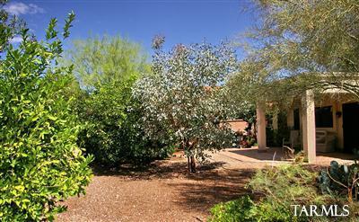 14561 N Line Post Lane