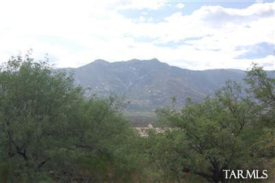 15825 N Roadrunner Ridge Lane