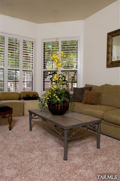 6162 N Via Del Pichon