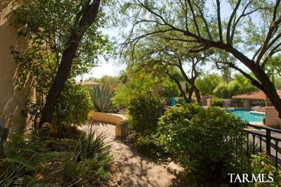 6162 N Via Del Pichon