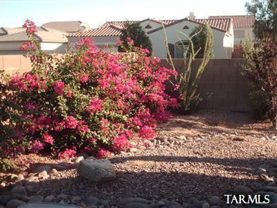 9345 N Indian Summer Drive