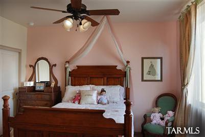 9535 N Placita Roca De Bronce Drive N