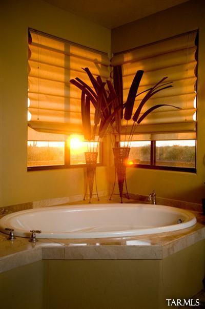 12225 N Camino Del Plata