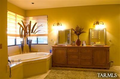 12225 N Camino Del Plata