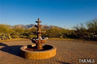 12225 N Camino Del Plata