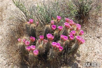 35000 S Owl Head Ranch Road Unit: 37000