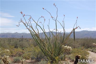 35000 S Owl Head Ranch Road Unit: 37000