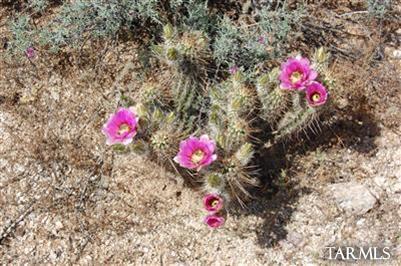 35000 S Owl Head Ranch Road Unit: 37000