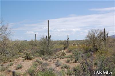 35000 S Owl Head Ranch Road Unit: 37000