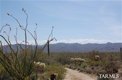 35000 S Owl Head Ranch Road Unit: 37000