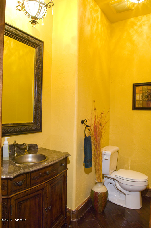 10390 N Derrio Canyon Place