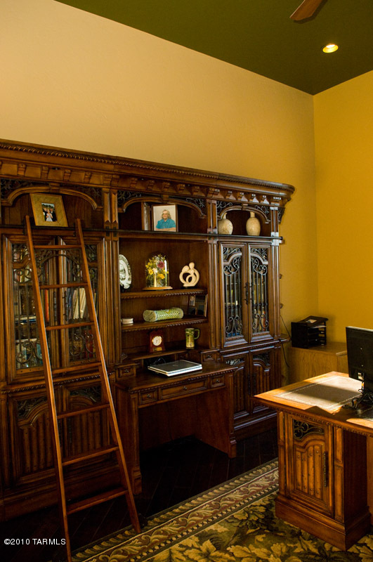 10390 N Derrio Canyon Place