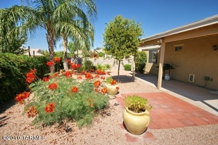 1323 W Desert Cloud Place