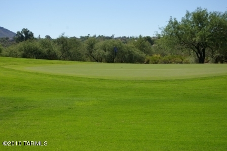 1081 W Wild Dune Lane