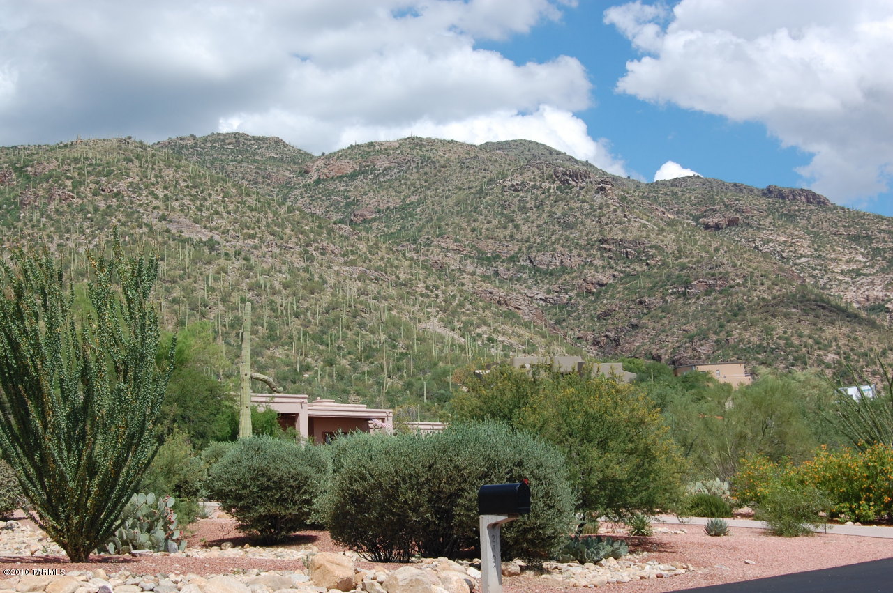 2390 E Calle Sin Controversia