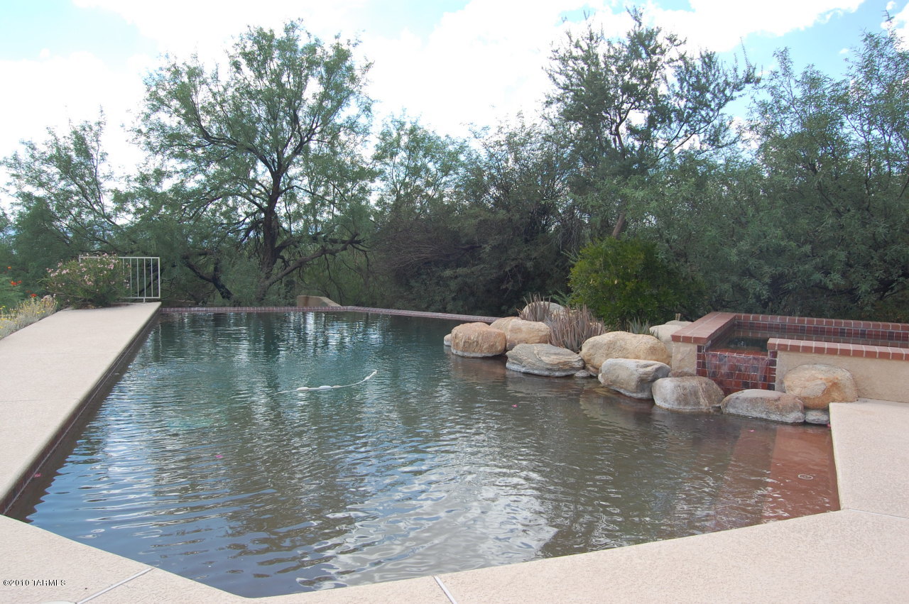 2390 E Calle Sin Controversia