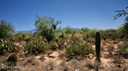 11506 N Moon Ranch Place