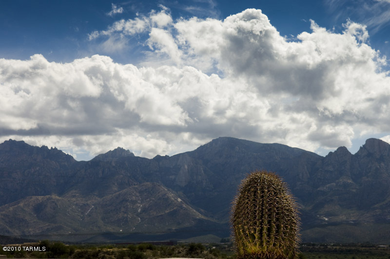 13797 N Silvercreek Place