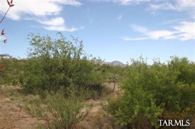 545 E Crescent Moon Drive