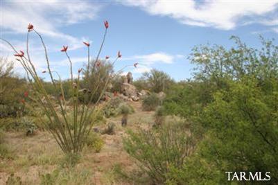 545 E Crescent Moon Drive