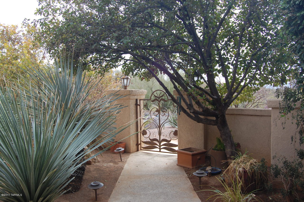 4141 E Pontatoc Canyon Drive