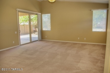 996 W Leatherleaf Drive