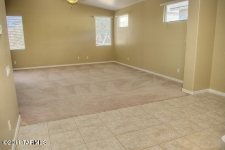 996 W Leatherleaf Drive