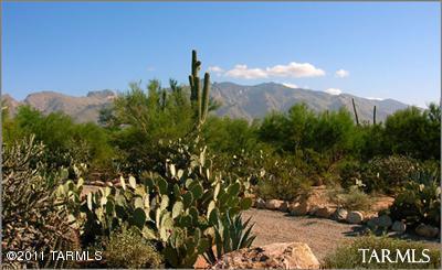 0 N Camino Del Fierro Parcel 1