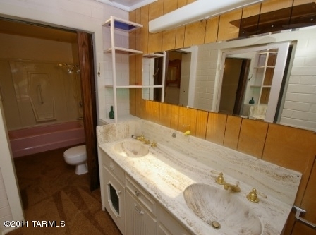 3919 E Calle De Jardin