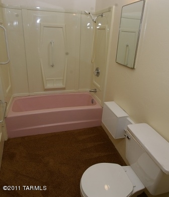 3919 E Calle De Jardin