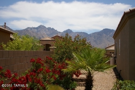 15023 N Rugged Lark Drive