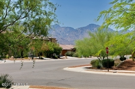 3679 E Farrier Drive