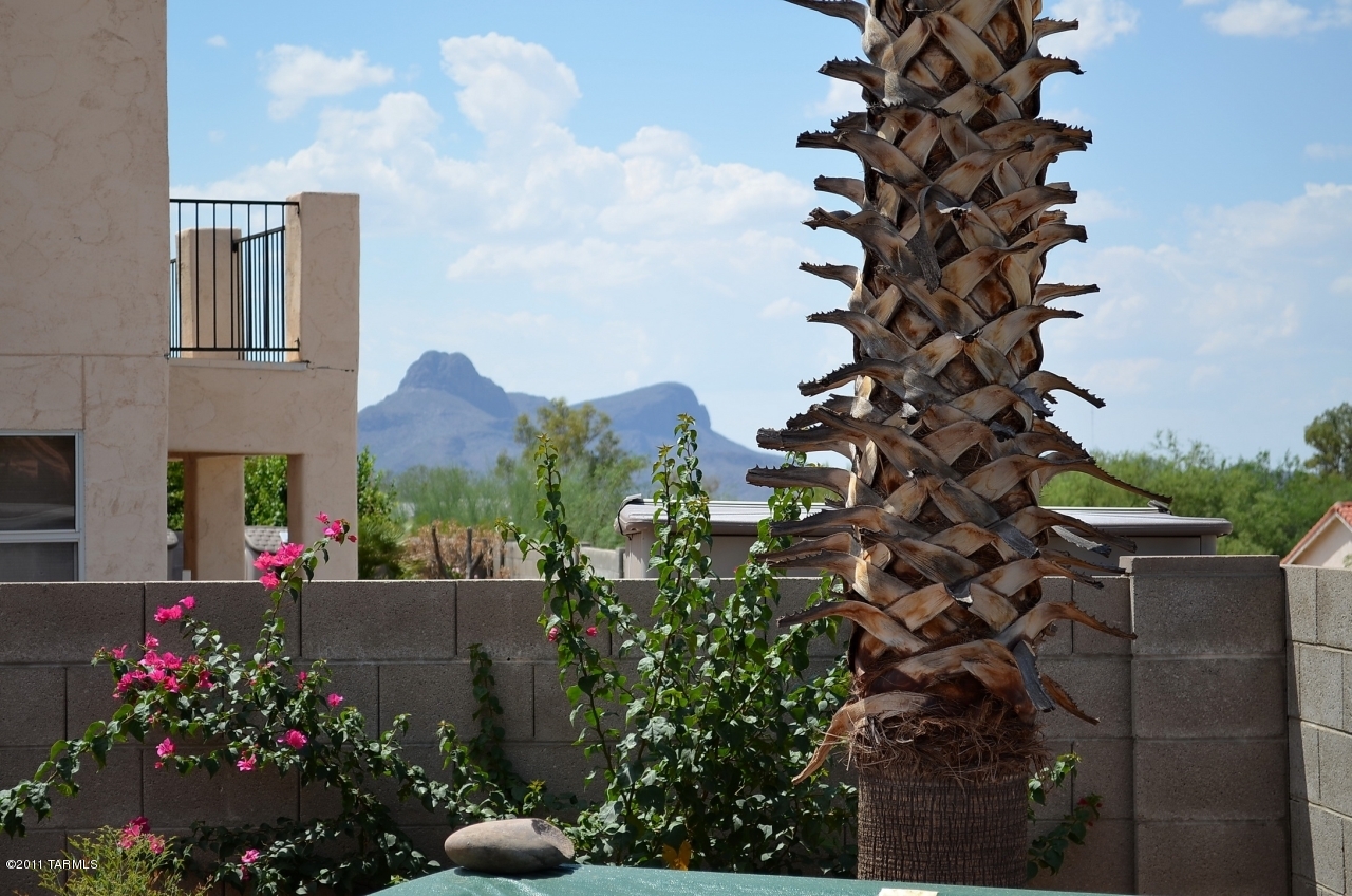 9424 N Warbler Place