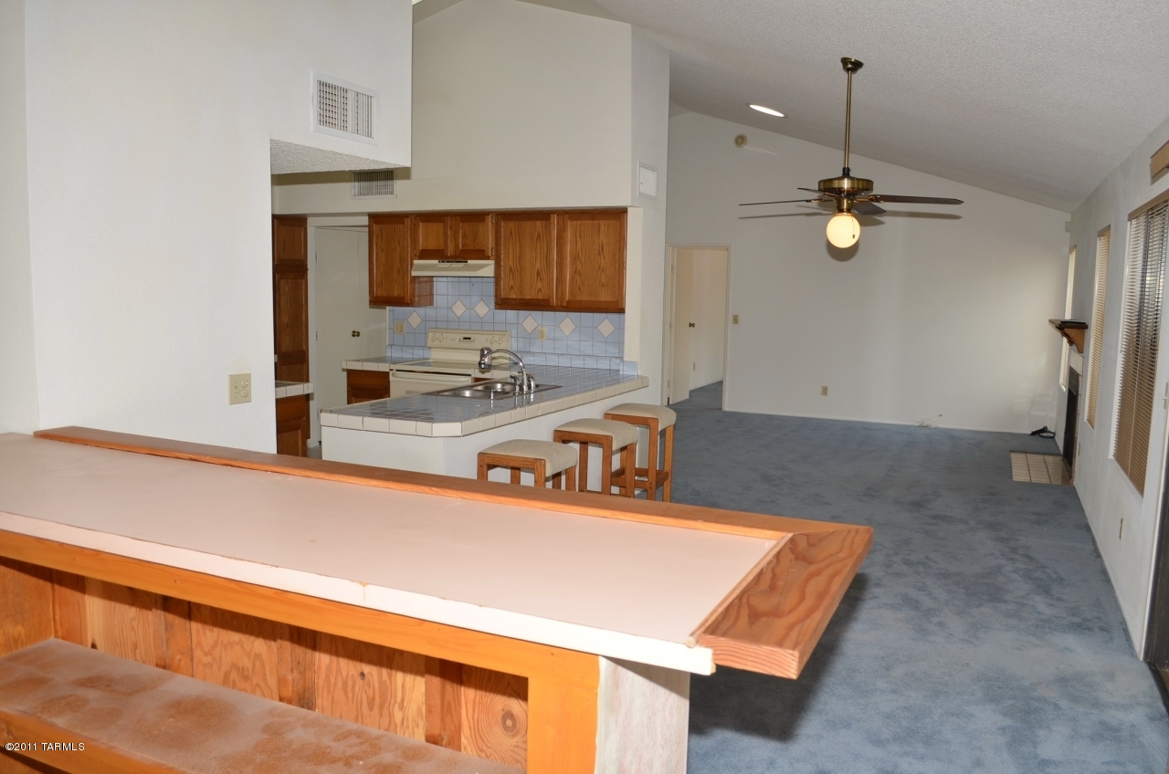 4750 W Snow Leopard Drive