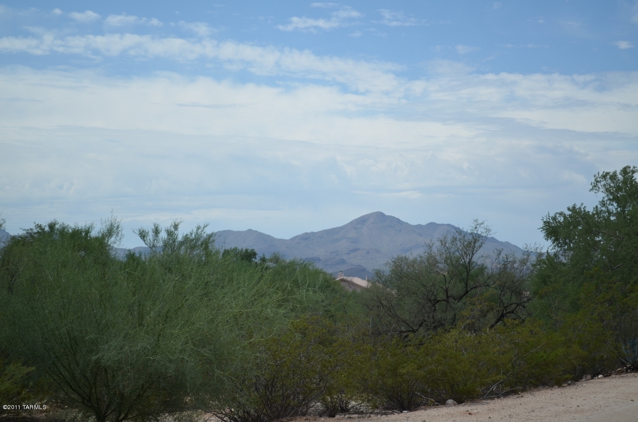 4750 W Snow Leopard Drive