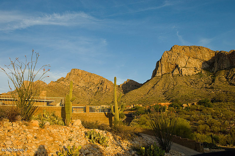 1581 E Crimson Canyon Place