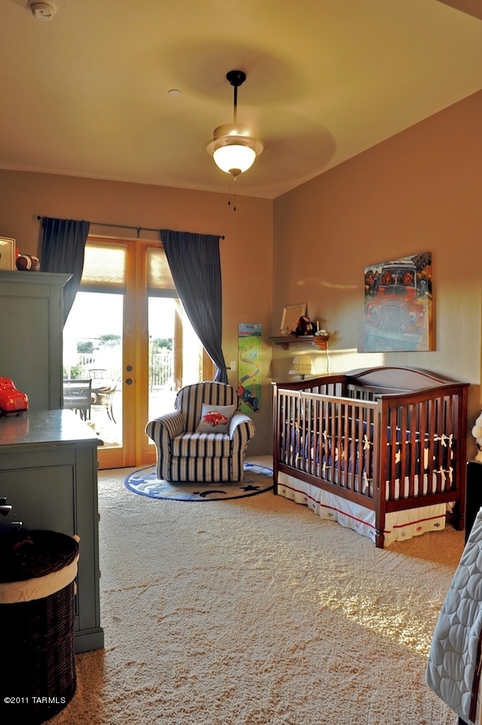 10979 N Pusch Ridge View Place