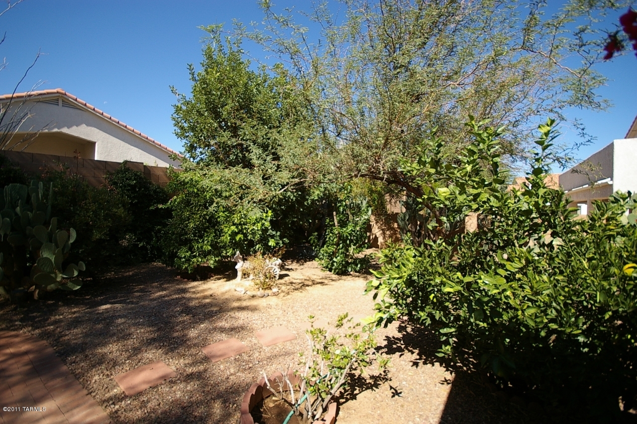 12125 N New Dawn Avenue