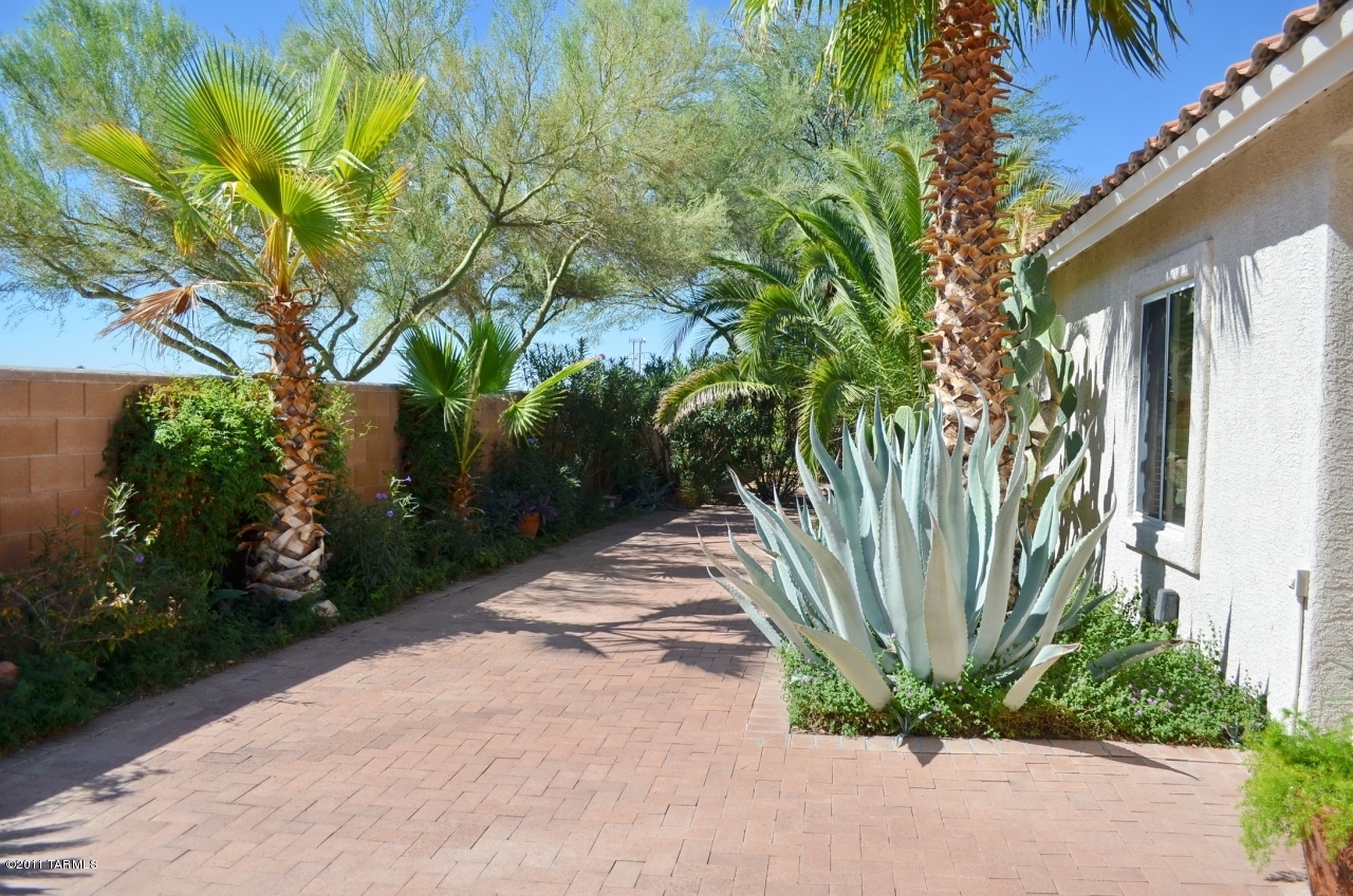 12125 N New Dawn Avenue