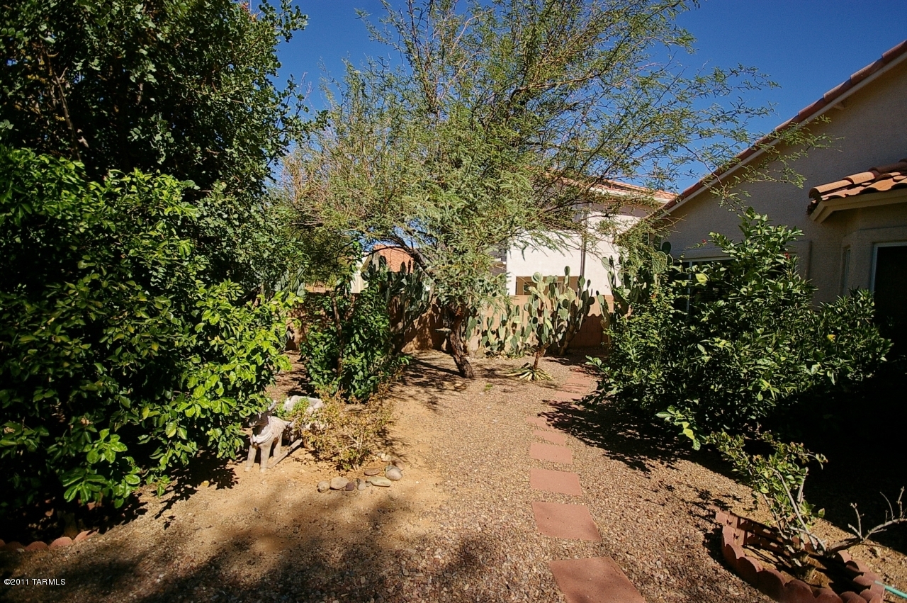 12125 N New Dawn Avenue