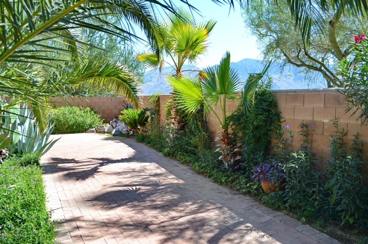 12125 N New Dawn Avenue