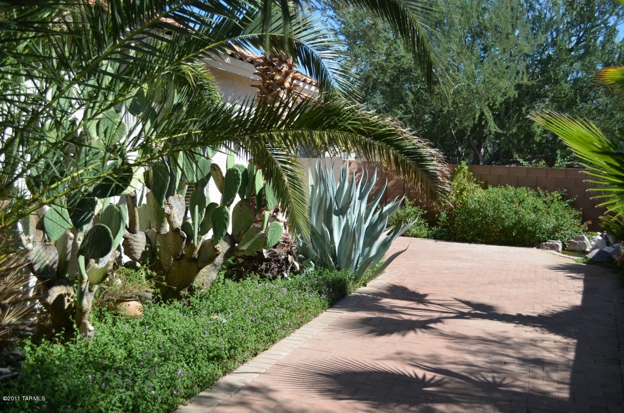 12125 N New Dawn Avenue